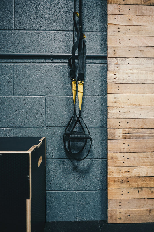 TRX Suspension Trainer